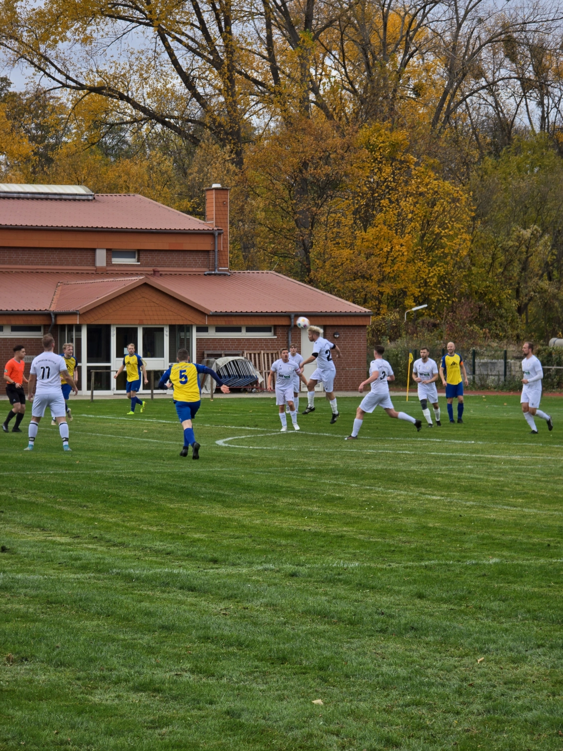 MTV Astfeld - Sportverein - Fußball