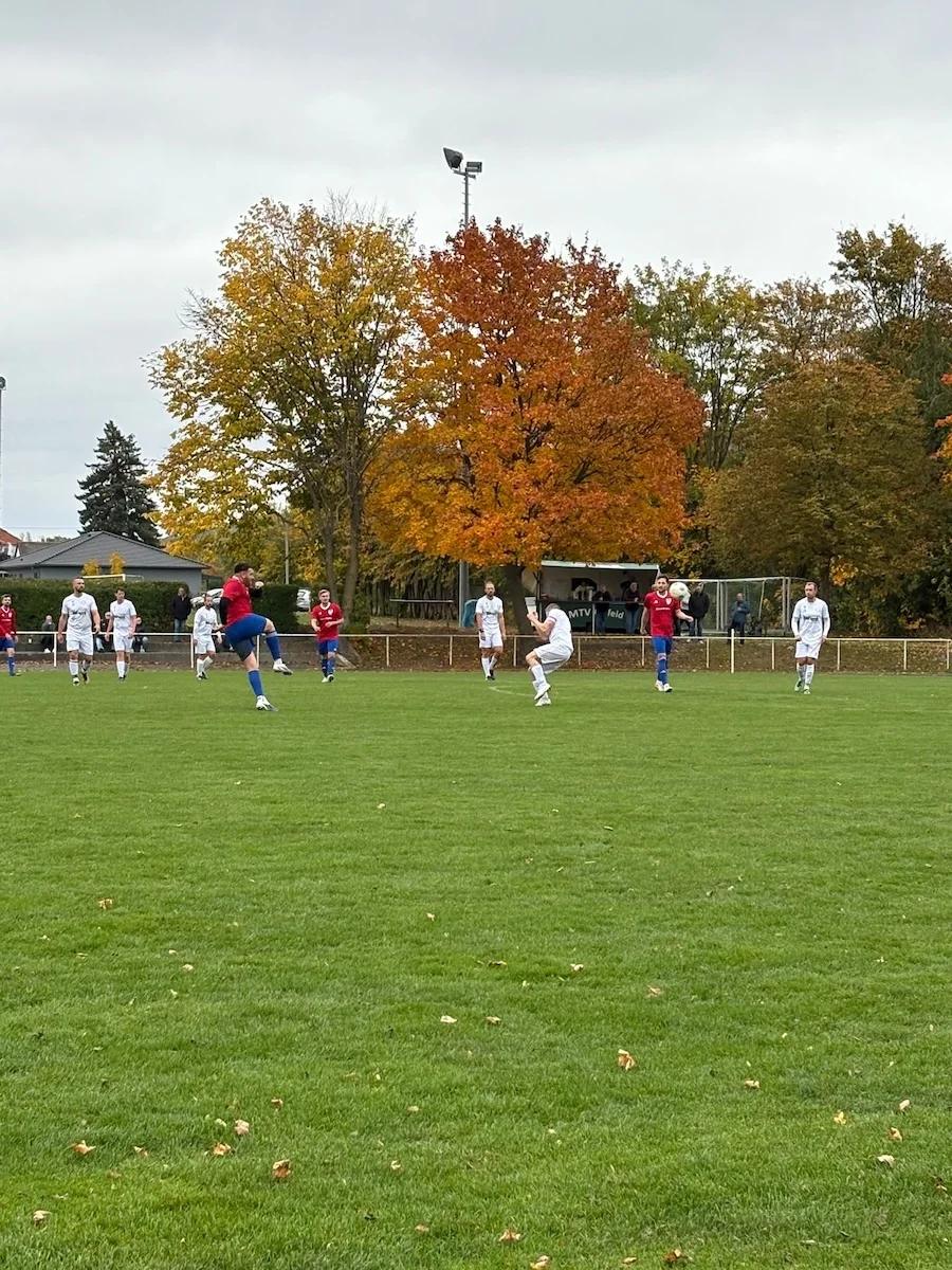 MTV Astfeld - Sportverein - Fußball