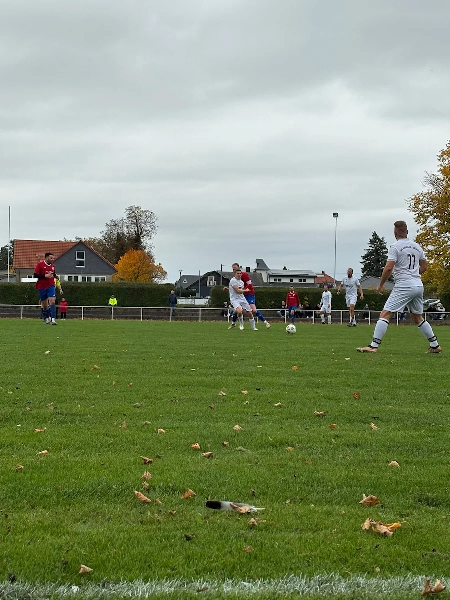 MTV Astfeld - Sportverein - Fußball