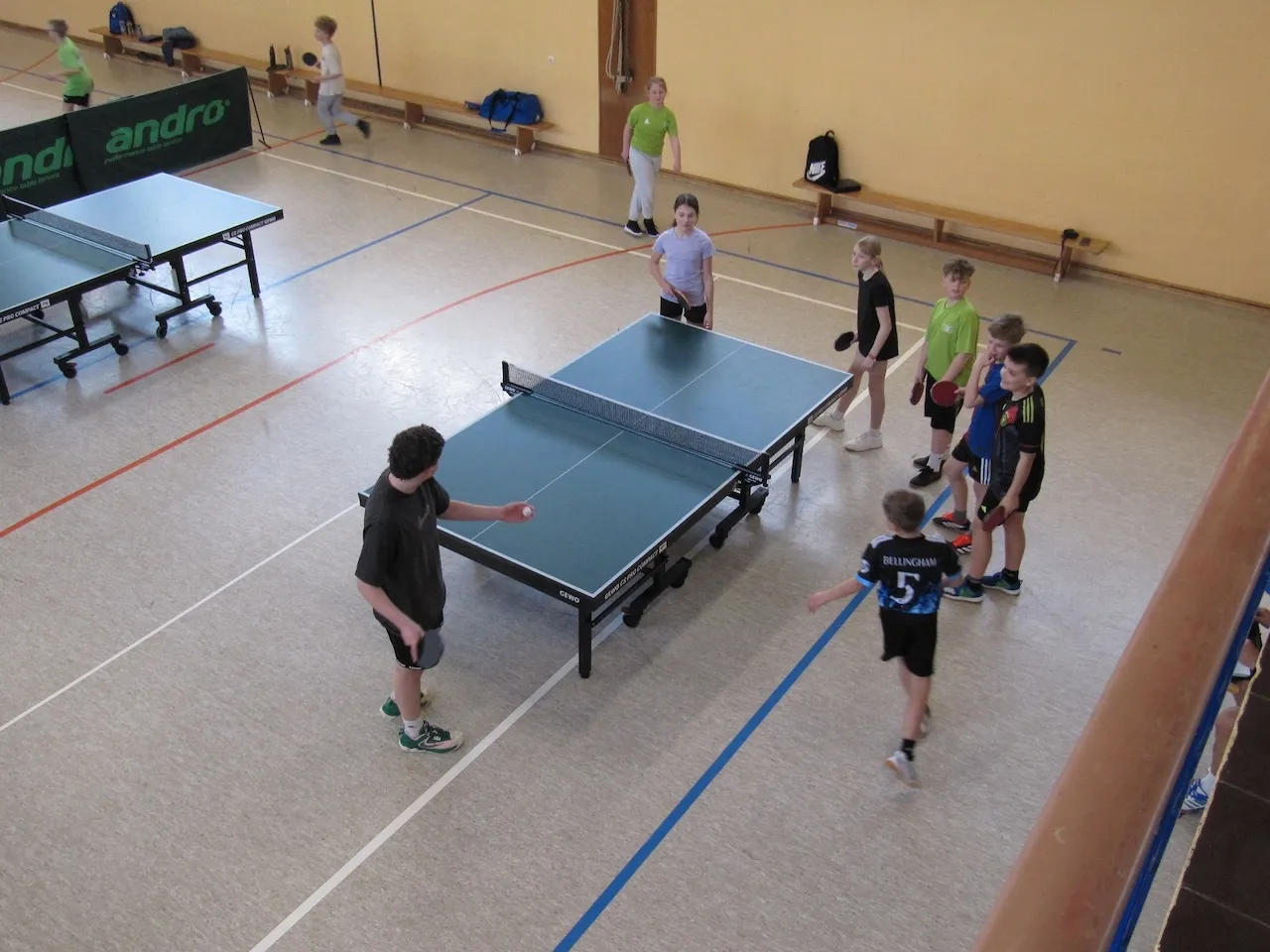 MTV Astfeld - Sportverein - Tischtennis